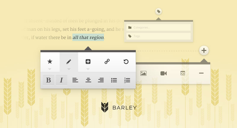 Barley for WordPress is a simple and effective inline editor