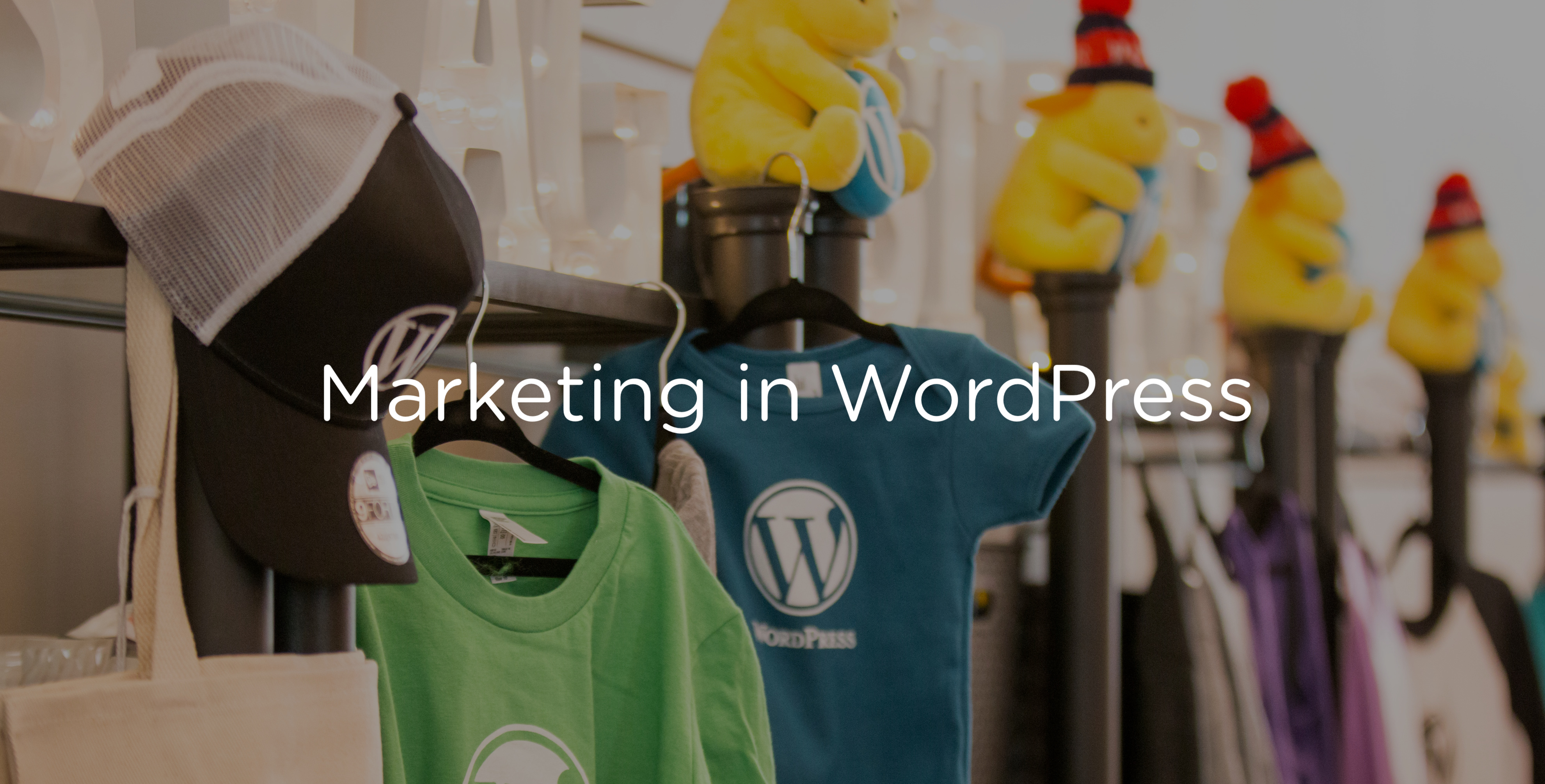 Marketing and positioning WordPress products — Draft podcast
