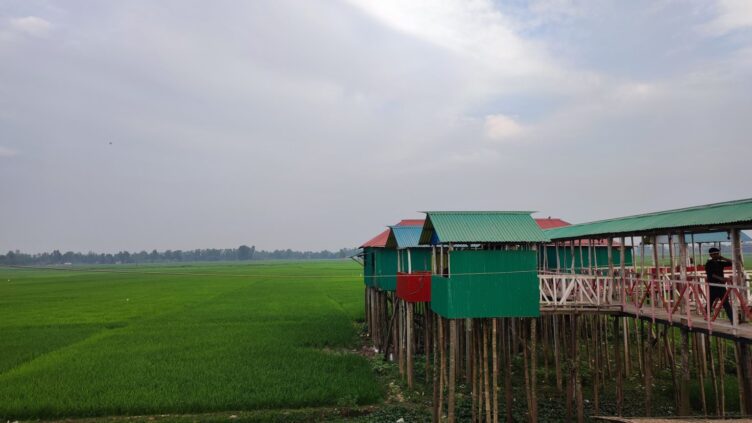 A paddy field and shops on top of field